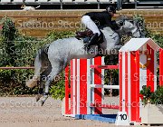 Casadei My Forever GioCav2013 S5 1684 : Campionati Italiani Giovani Cavalli, Casadei Mirco, Cattolica, My Forever, ph Stefano Secchi ©